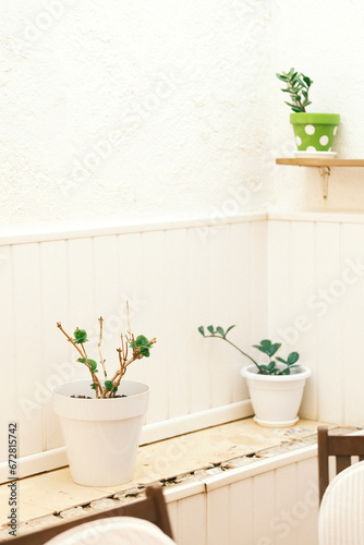 Corner painted white with plants in white pots.