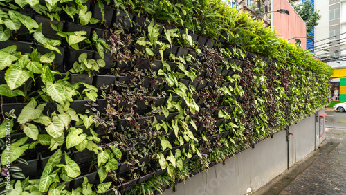 Wallpaper Mural Living green walls on the buildings in natural light. Torontodigital.ca