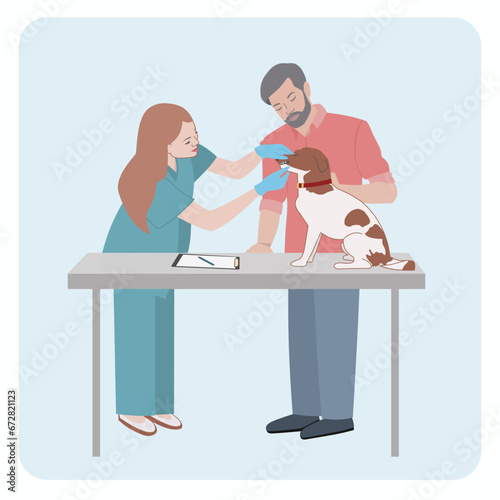 A veterinarian examines the teeth of a Jack Russell Terrier standing on the examination table. The pet owner supports their furry friend, showing attentive care for the health of domestic animals