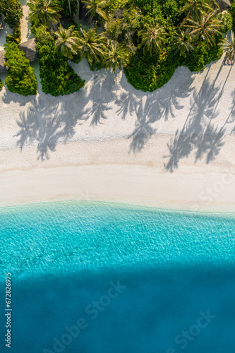 Beach palm trees on tranquil sunny sandy beach and turquoise ocean from above. Amazing summer nature landscape. Stunning sunny serene beach relaxing peaceful and inspirational beach vacation template © icemanphotos