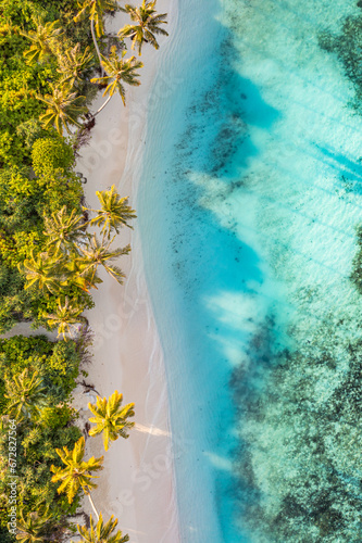 Beach palm trees on tranquil sunny sandy beach and turquoise ocean from above. Amazing summer nature landscape. Stunning sunny serene beach relaxing peaceful and inspirational beach vacation template