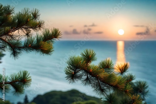 pine tree on the beach at sunset