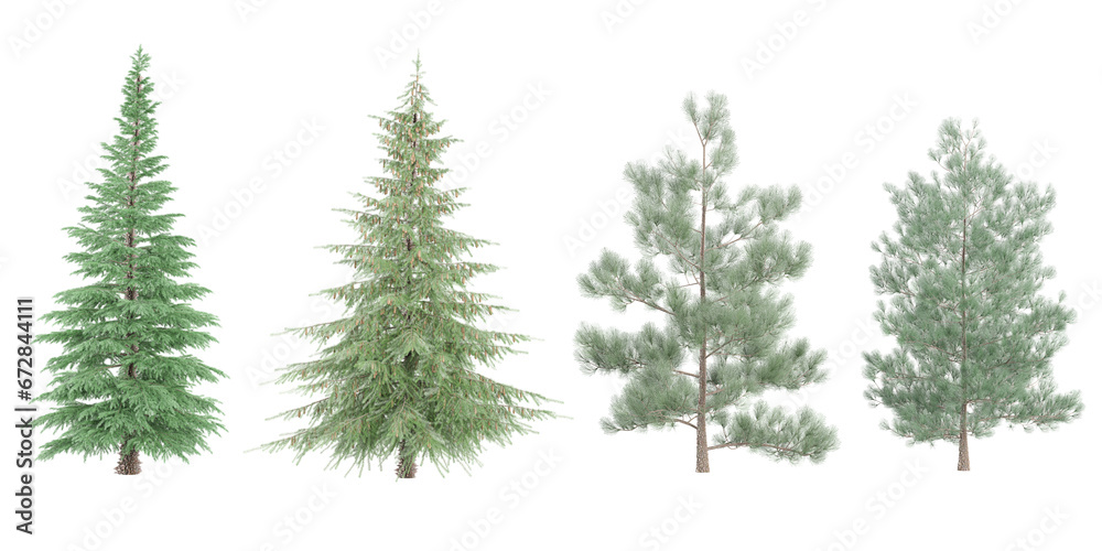 Deodar cedar,Spruce,Pinus sylvestris trees with transparent background, 3D rendering, for illustration, digital composition, architecture visualization