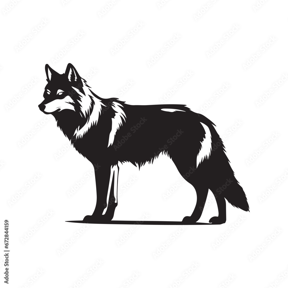 Wolf vector illustration, Image and Design Wolf vector illustration, Image and Design