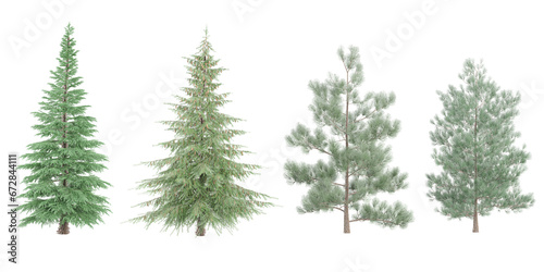 Deodar cedar,Spruce,Pinus sylvestris trees with transparent background, 3D rendering, for illustration, digital composition, architecture visualization © Saifstock