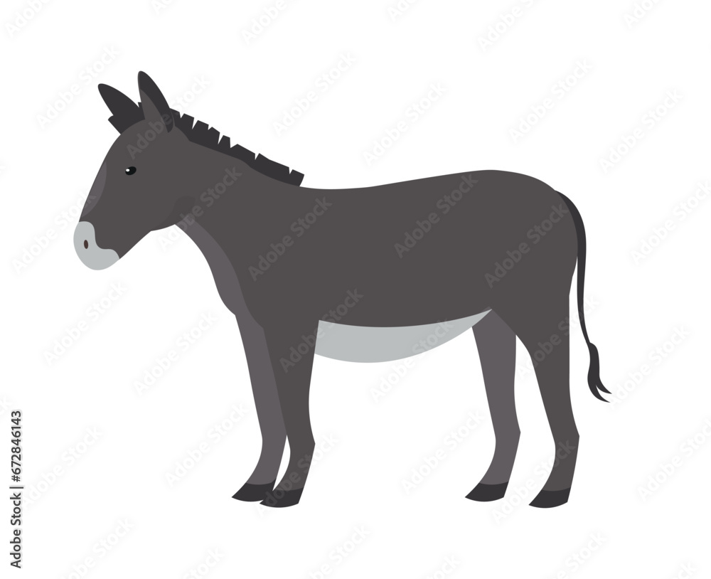 Donkey animal, vector illustration Standing. Side view. Flat illustration. farming, agricultural species 