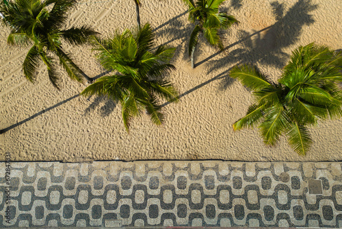 Top View of Ipanema Mosaic Sidewalk and Palm Trees at the Beach in Rio de Janeiro, Brazil