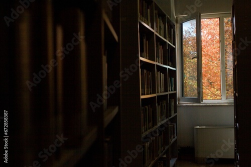 Autumn season from the library window. © Wirestock