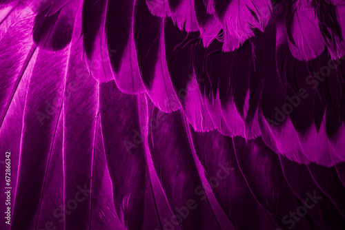 violet feather pigeon macro photo. texture or background © Krzysztof Bubel