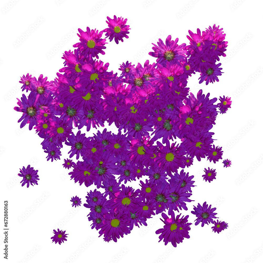 Summer Petal Design. Flowers Falling Template.