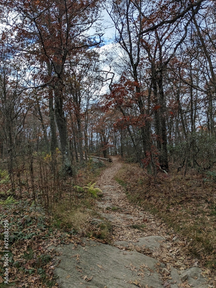 Foliage in Breakneck Ridge, Cold Spring, New York - October 2023