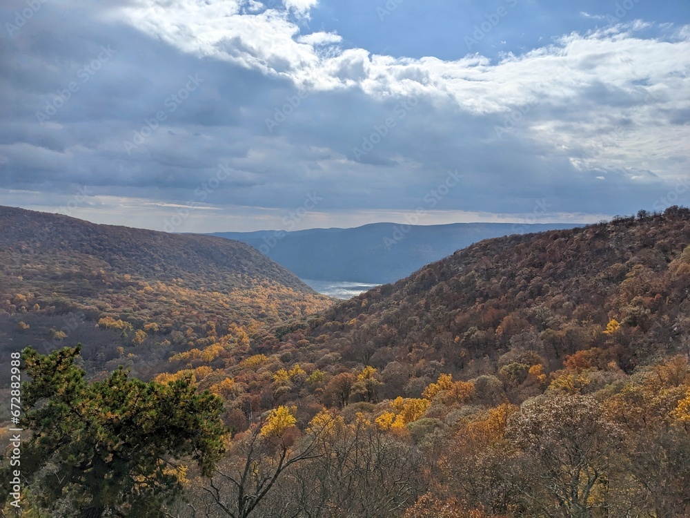 Foliage in Breakneck Ridge, Cold Spring, New York - October 2023