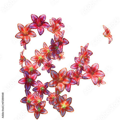 Red lily flowers and petals falling on transparent (ID: 672884368)