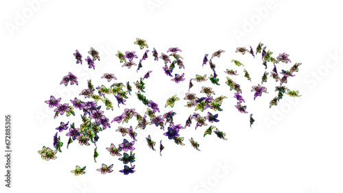 dried flowers and dry leaves flying on transparent background (ID: 672885305)