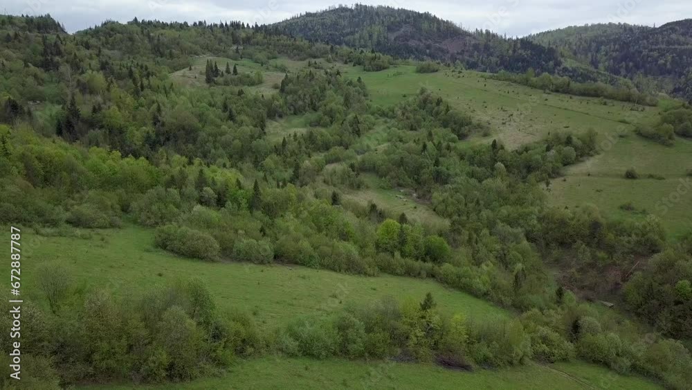 Green valley in Carpahthian mountains covered with forest trees and grass, filmed with aerial drone camera