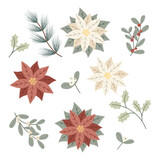 Set of plants and poinsettia flowers. Traditional winter symbol of Christmas and New Year. Perfect for decoration of holiday cards flyers and invitations
