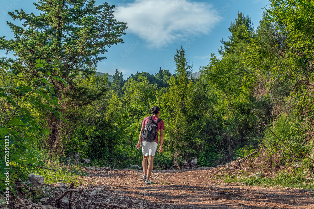 A young man walks in the mountains near Budva, Montenegro - view from the back. Solo hiking in nature. Male tourist in summer clothes and with a backpack on a dirt road in the forest