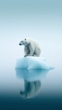 Beautiful lonely polar bear in snow