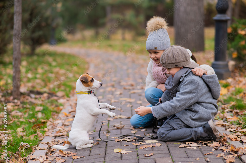 Fototapeta premium Caucasian boy and girl posing sitting on sidewalk with jack russell terrier dog in park in autumn.