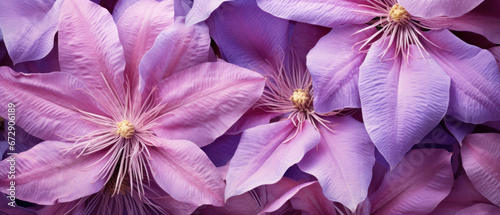 Clematis flower macro with a focus on velvety textures. © smth.design