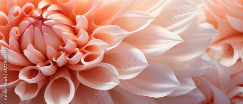 Stunning macro of a chrysanthemums intricate texture. © smth.design