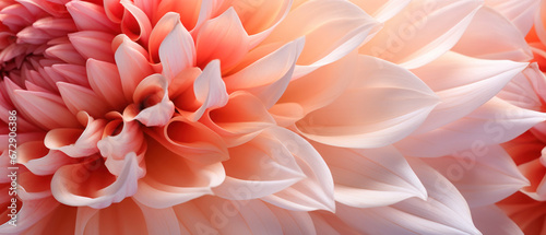 Stunning macro of a chrysanthemums intricate texture. © smth.design