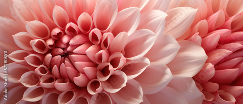 Stunning macro of a chrysanthemums intricate texture.
