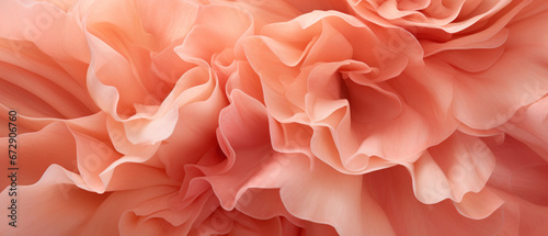 Carnation close-up with a detailed  textured look.