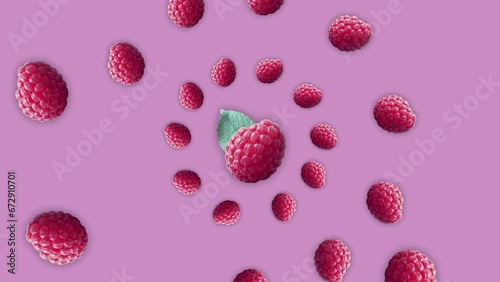 Wallpaper Mural Stop motion Cut and whole Raspberry appear and disappear on pastel background. High quality video 4K. Detailed stop motion video. Background or wallpaper in food and drinks videos. Torontodigital.ca