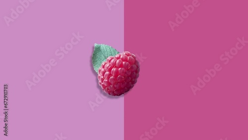 Wallpaper Mural Stop motion Cut and whole Raspberry appear and disappear on pastel background. High quality video 4K. Detailed stop motion video. Background or wallpaper in food and drinks videos. Torontodigital.ca