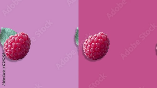 Wallpaper Mural Stop motion Cut and whole Raspberry appear and disappear on pastel background. High quality video 4K. Detailed stop motion video. Background or wallpaper in food and drinks videos. Torontodigital.ca