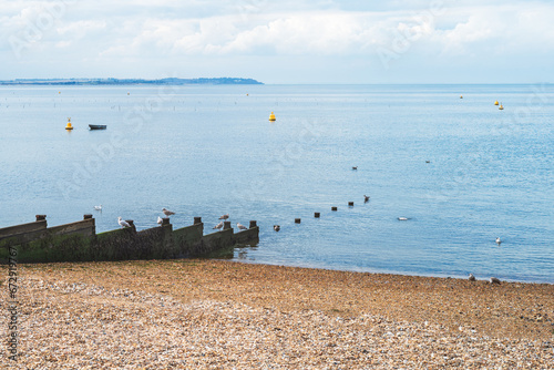Whitstable pebble beach with a wooden groyne sea defence and sea birds. There are also bouts and a small boat in the sea.  Isle of Sheppey can be seen on the horizon.