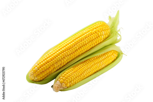 Maize isolated on a transparent and white background