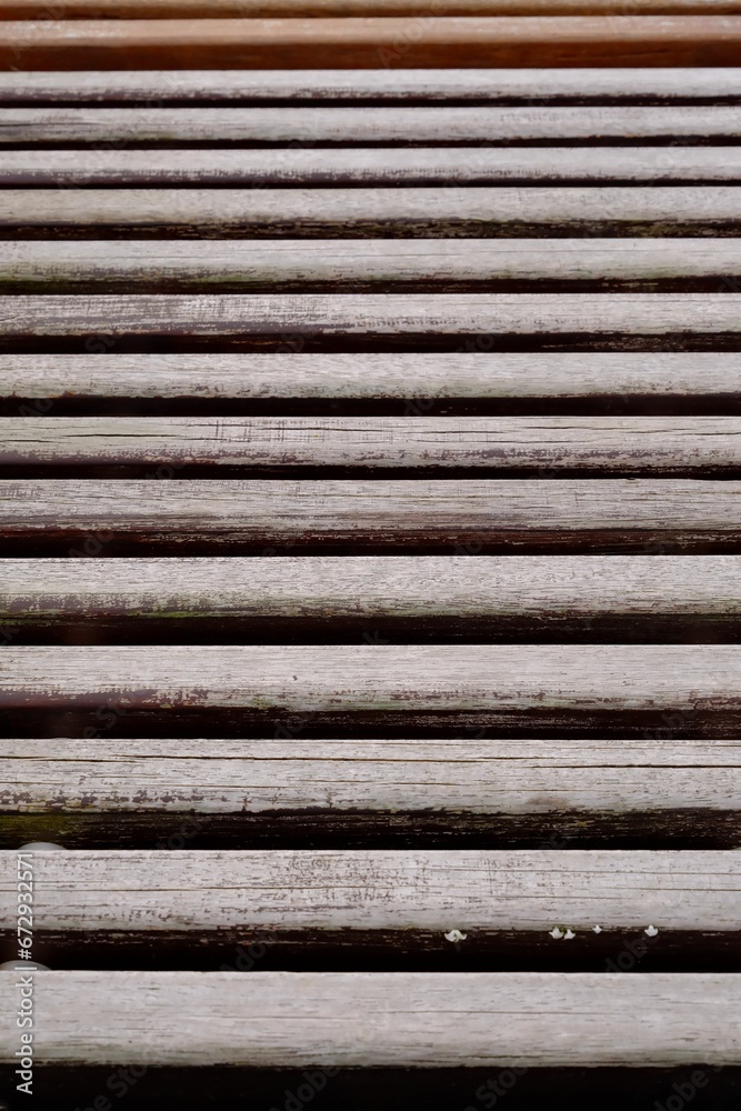 Wood ribs - the seat of a park bench.