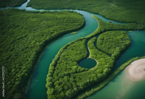 Aerial view of a river delta with lush green vegetation and winding waterways