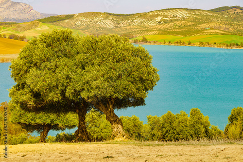 Spanish nature landscape in Andalucia.