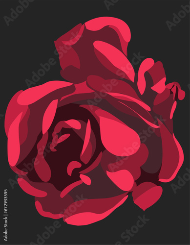 a flower in a black background is shown here to help with the animation of the