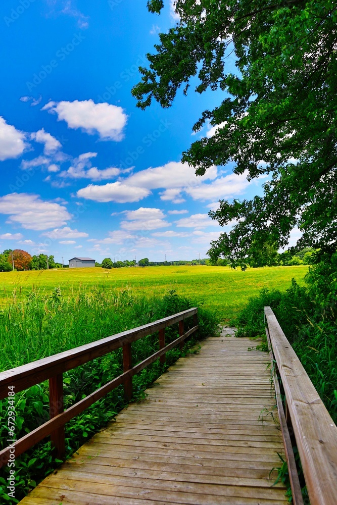 a wooden bridge crosses over a green field of grass under a blue sky