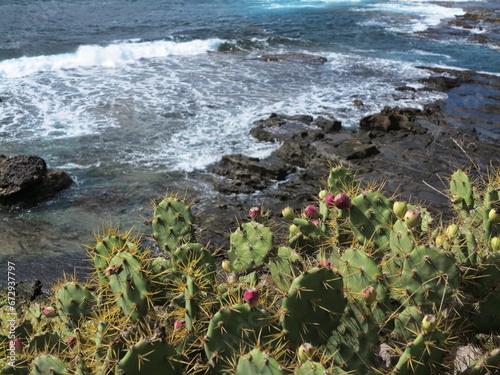 Gran Canaria Las Palmas Playa de Confital 9 photo