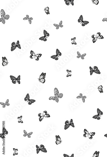 seamless pattern with birds