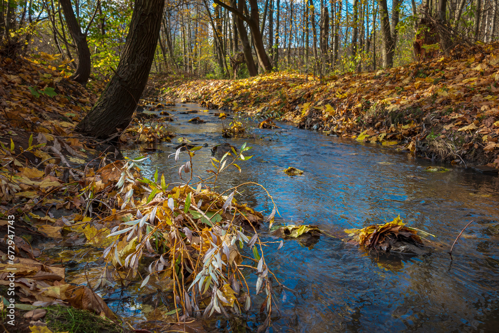 Small clear water stream in the autumn forest Small clear water stream in the autumn forest