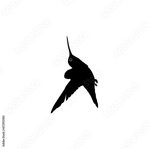 Fototapeta Naklejka Na Ścianę i Meble -  Flying Hummingbird Silhouette, can use Art Illustration, Website, Logo Gram, Pictogram or Graphic Design Element. Vector Illustration