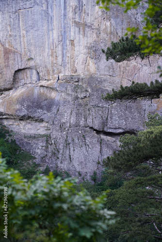 Landscape front view of rocks and forest