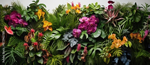 A pattern of tropical plants and flowers growing vertically in a garden