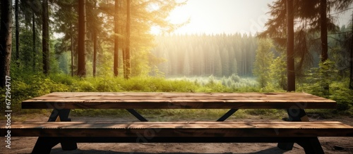 Picnic area with wooden table and bench located in a rest spot within the forest for camping