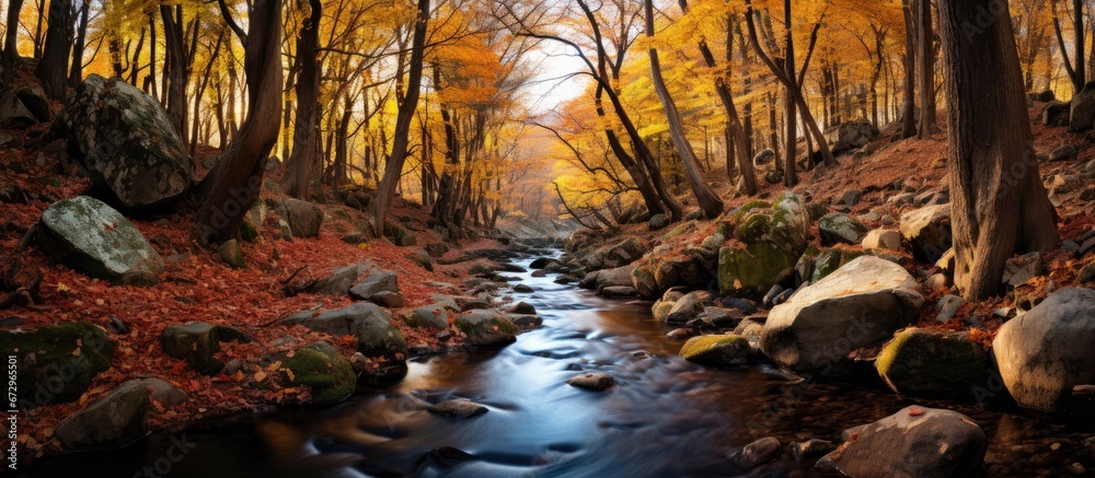 In the forested mountains there is a creek surrounded by woods in autumn showcasing rocks and foliage in yellow and red hues