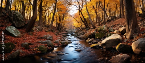 In the forested mountains there is a creek surrounded by woods in autumn showcasing rocks and foliage in yellow and red hues
