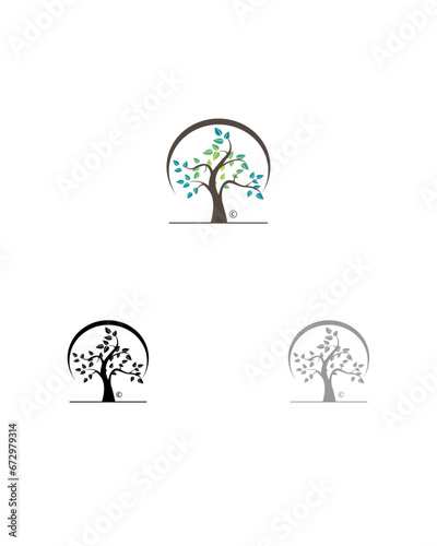 Árbol de la Vida