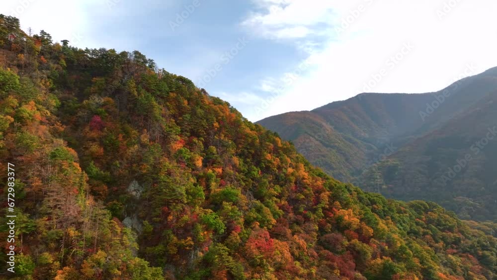 圧倒的な美しさのパノラマ紅葉空撮
