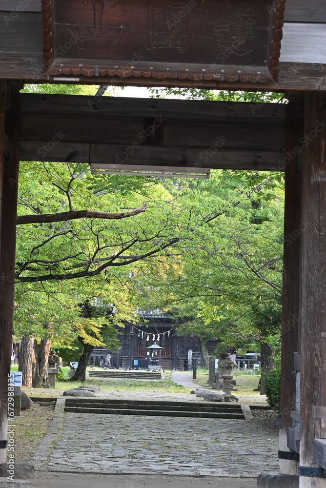 Fototapeta premium 山門から覗く松の木が続く石畳の参道